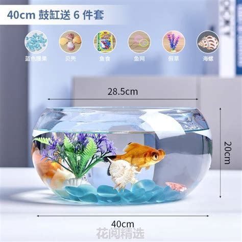 圓形魚缸造景|水族教學：魚缸造景佈置技巧 – 寵物百科